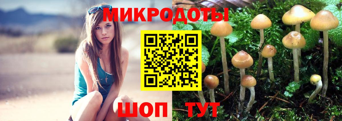 Галлюциногенные грибы Magic Shrooms  Галлюциногенные грибы GOLDEN TEACHER  Касимов  Вход с VPN 